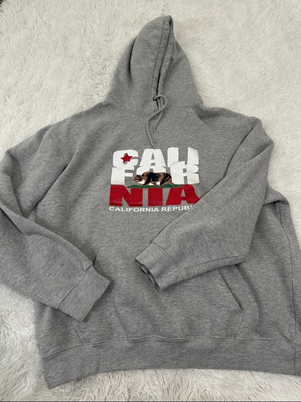 🍍 California Republic Hoodie